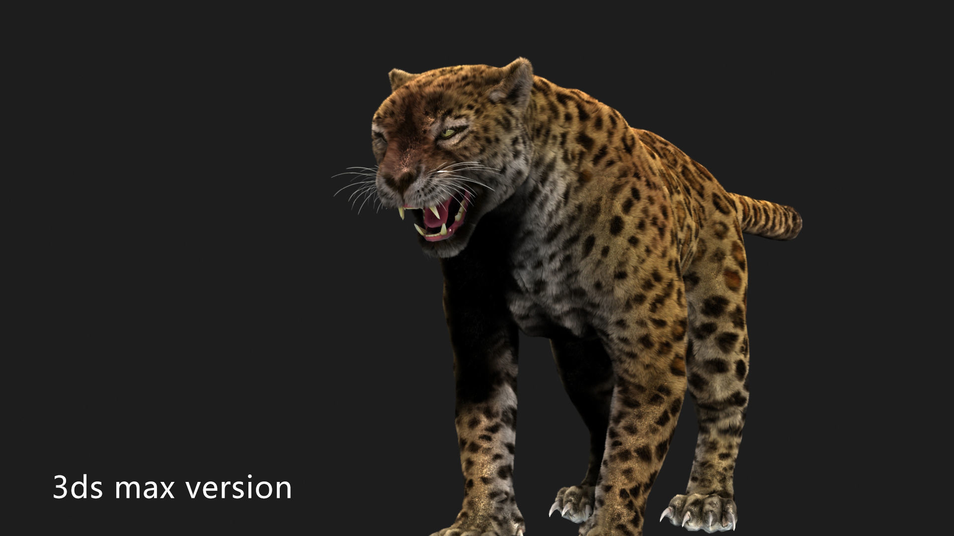 leopard panther puma jaguar Low-poly 3D model_2