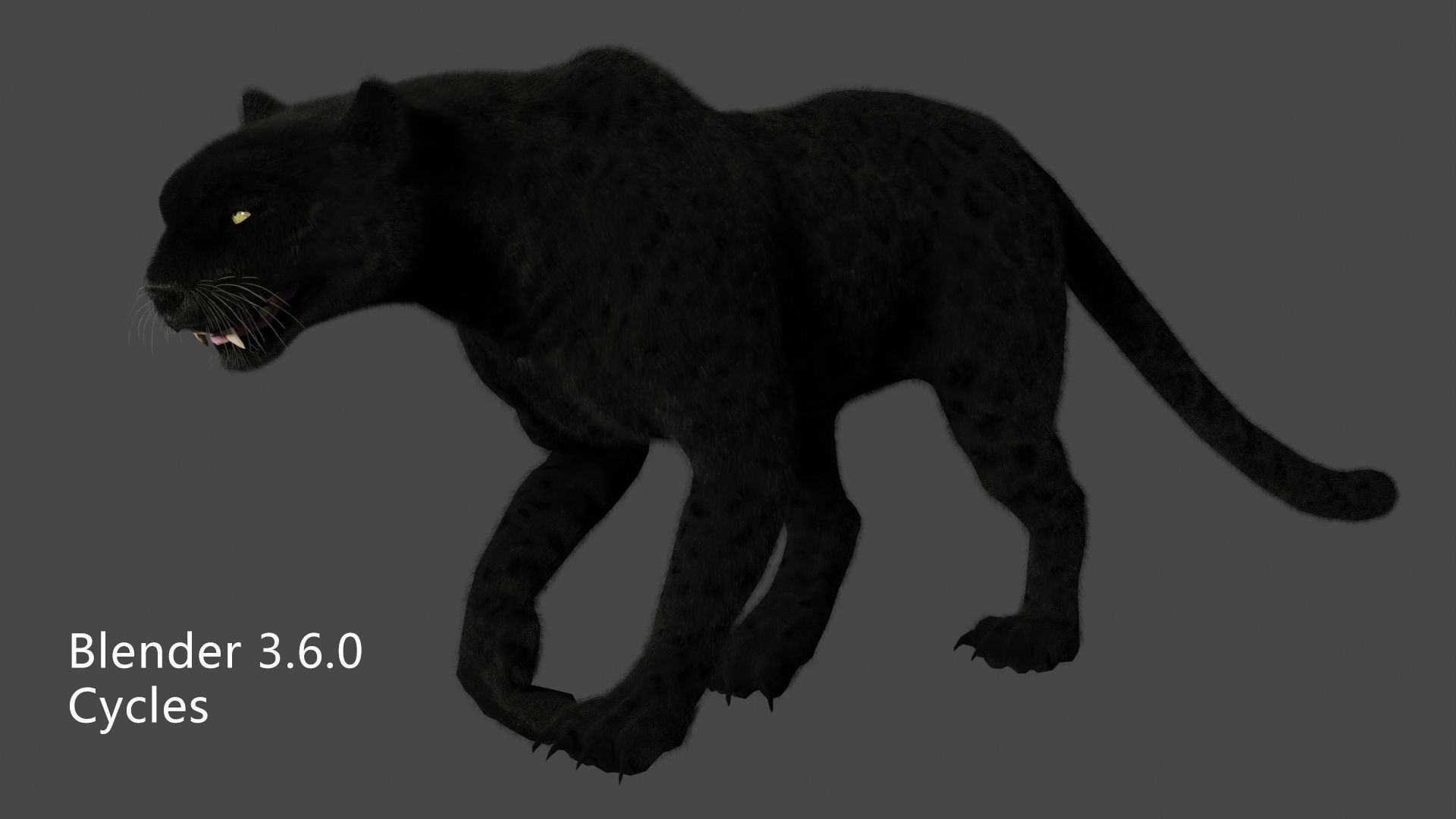leopard panther puma jaguar Low-poly 3D model_12