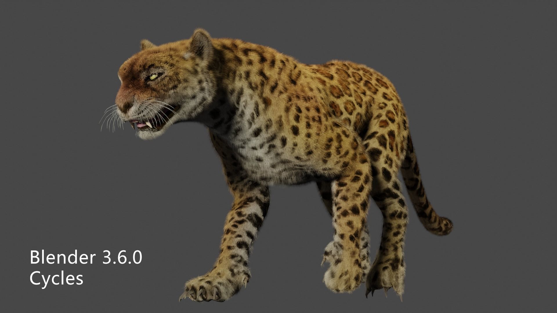 leopard panther puma jaguar Low-poly 3D model_9