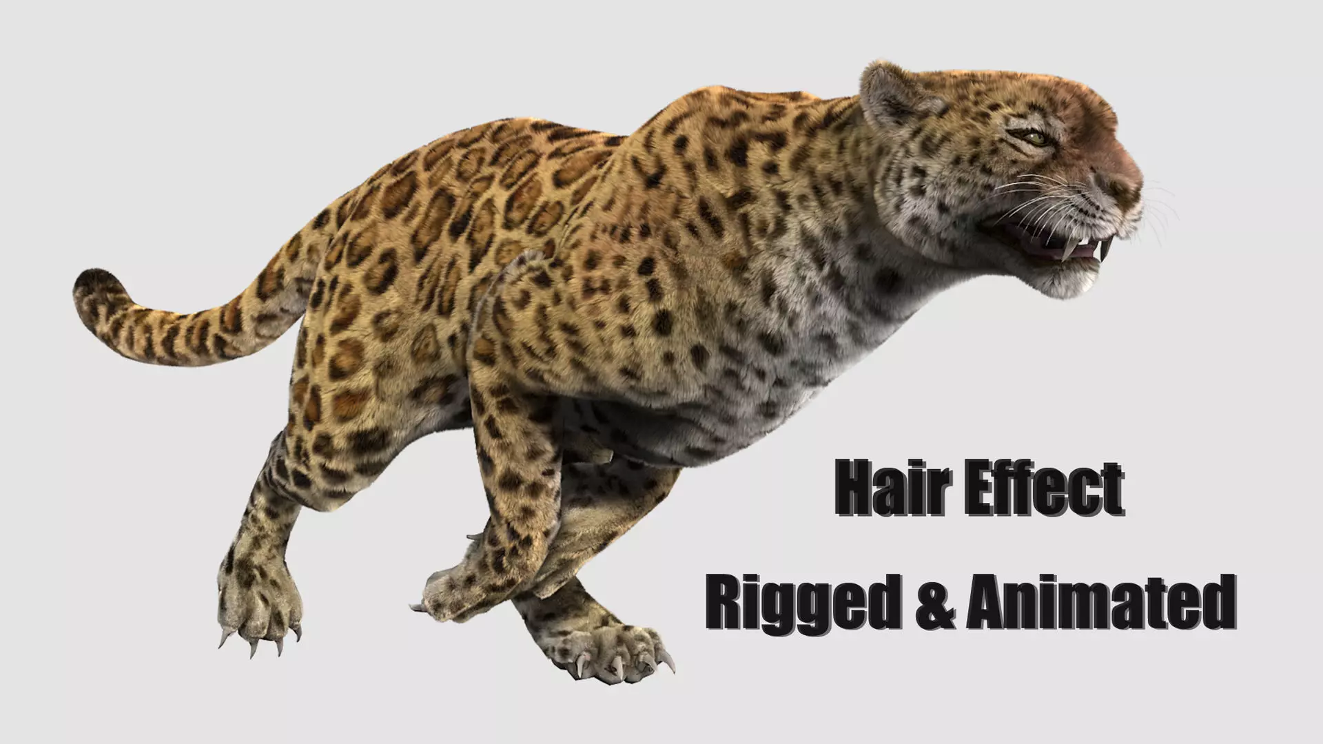 leopard panther puma jaguar Low-poly 3D model_0