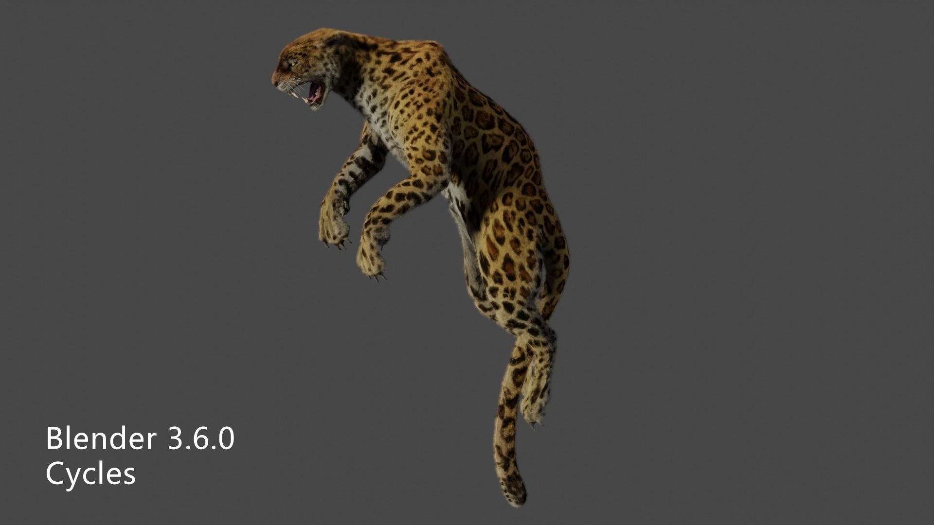 leopard panther puma jaguar Low-poly 3D model_8