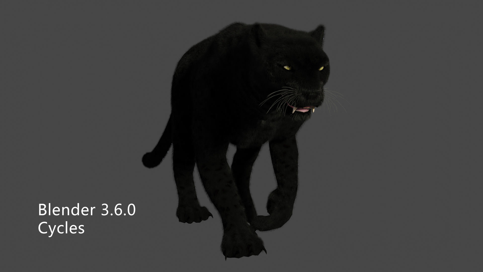 leopard panther puma jaguar Low-poly 3D model_11