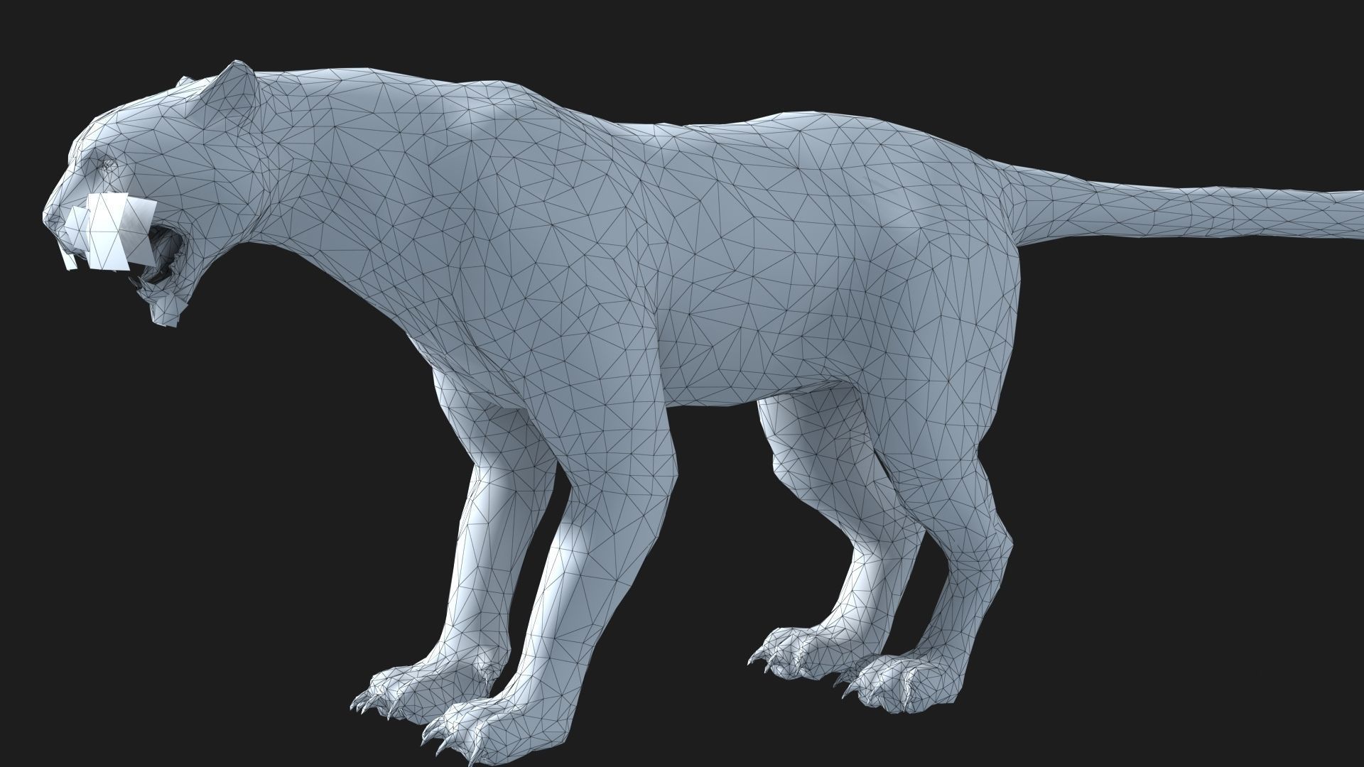 leopard panther puma jaguar Low-poly 3D model_13