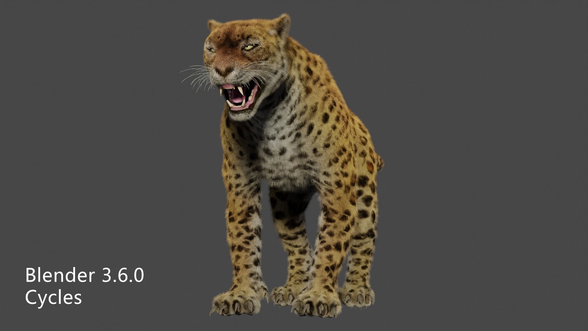 leopard panther puma jaguar Low-poly 3D model_7