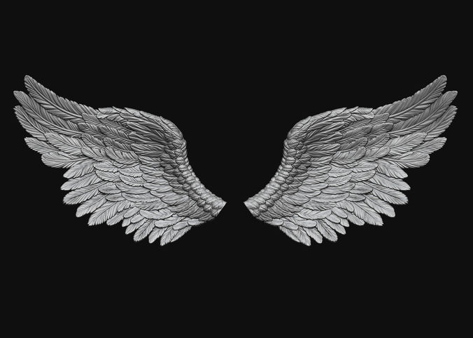 Wings Printable 5 3D print model
