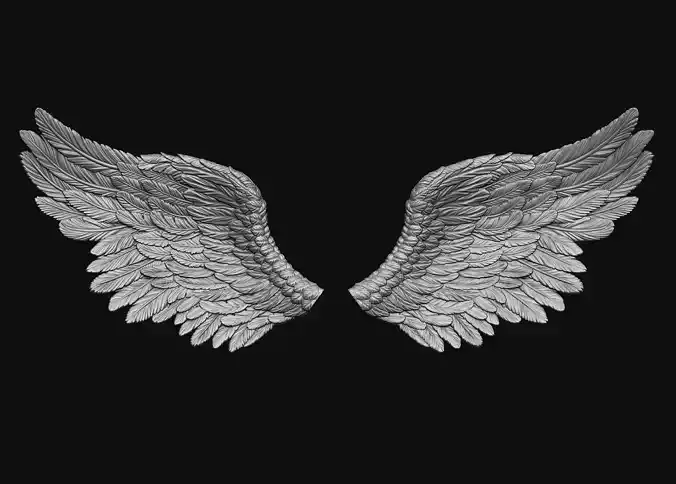 Wings Printable 5 3D print model