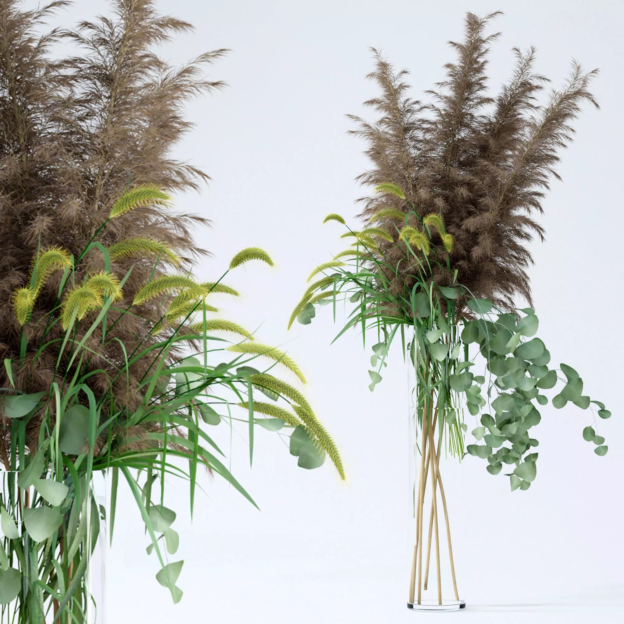 Pennisetum and Pampas grass with Eucalyptus 3D model