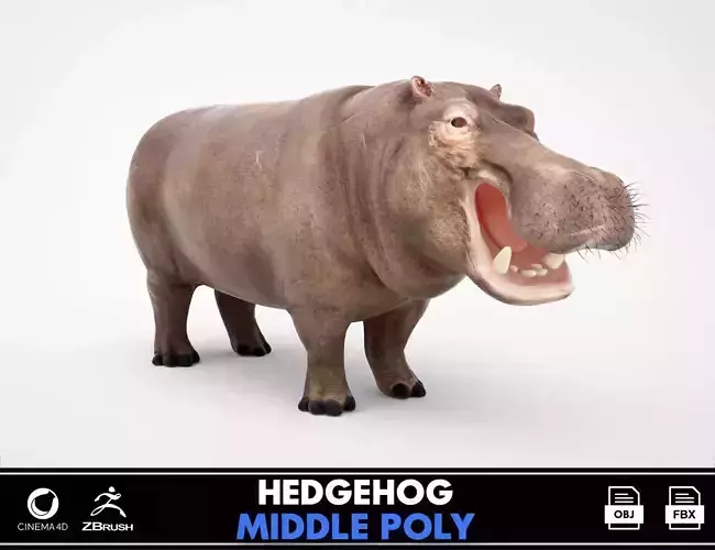 Hippopotamus Mid Poly and High Poly