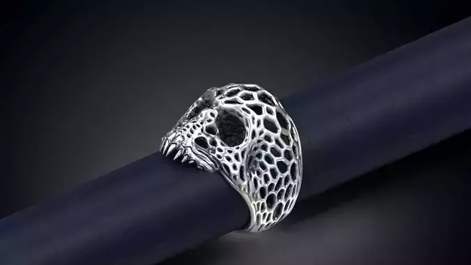 Voronoi Skull Ring 3d model for 3d printing 3D print model