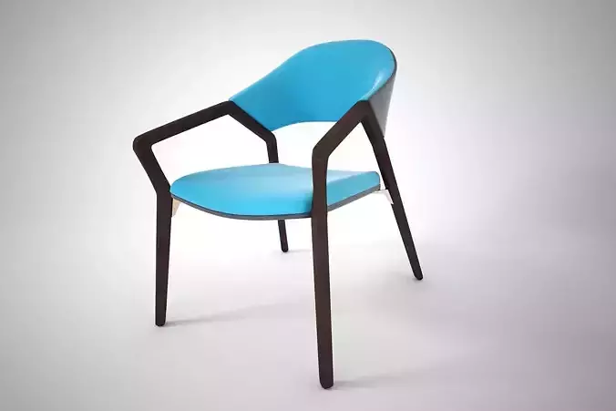 10 COSSINA CHAIR