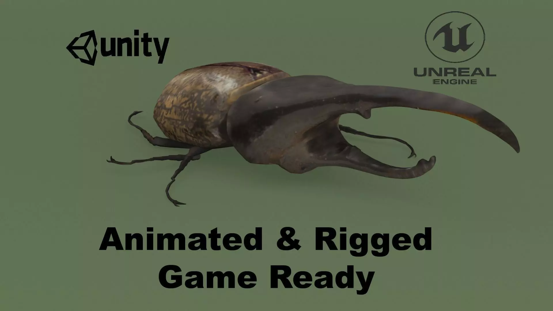 Hercules Beetle Low-poly 3D model