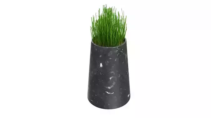 Plant Pots 3D model