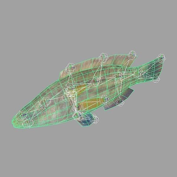 Lumbrak - Symphodus Tinca Low-poly 3D model_1
