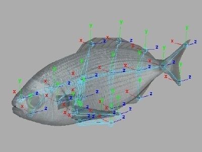 Orada - Oblada Melanura Low-poly 3D model_4