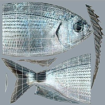 Orada - Oblada Melanura Low-poly 3D model_5