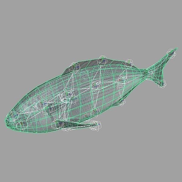 Orada - Oblada Melanura Low-poly 3D model_1