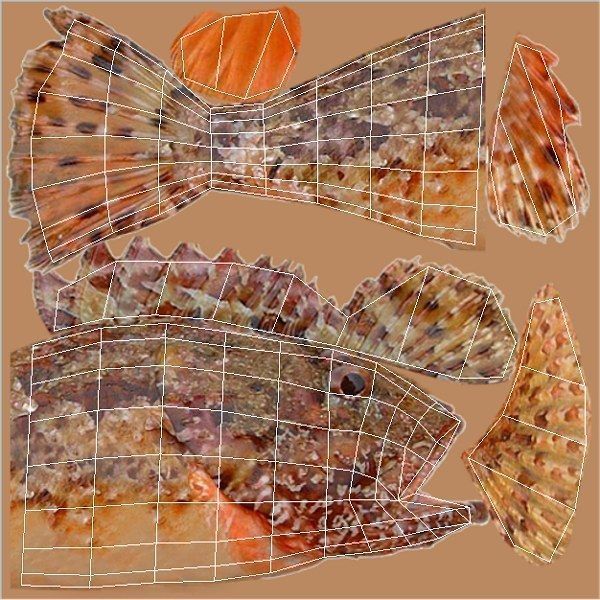 Skarpina - Scorpaena Scrofa Low-poly 3D model_4