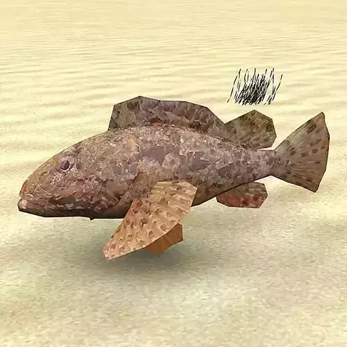 Skarpina - Scorpaena Scrofa