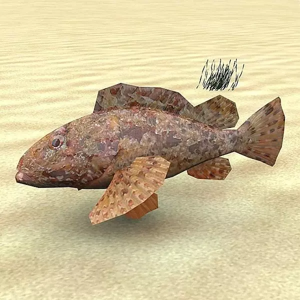 Skarpina - Scorpaena Scrofa Low-poly 3D model_0