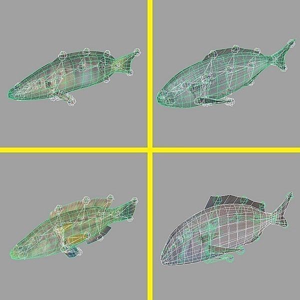 Adriatic sea fish collection Low-poly 3D model_15