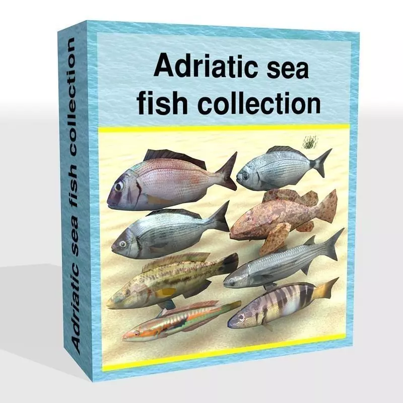 Adriatic sea fish collection Low-poly 3D model_0