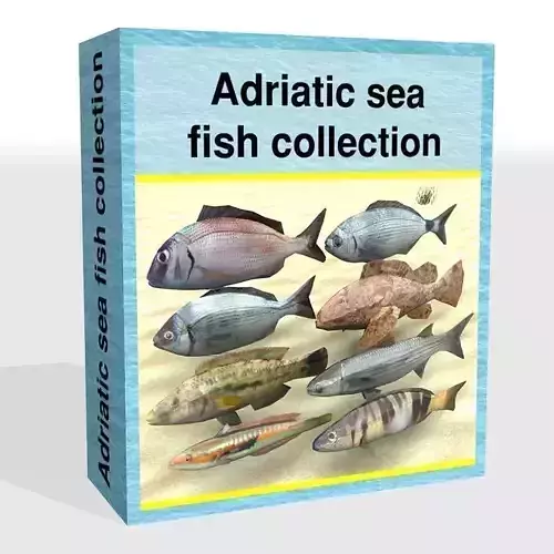 Adriatic sea fish collection Low-poly 3D model