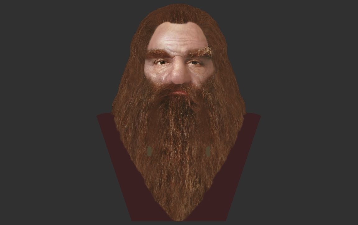 Gimli Lord of the Rings bust full color 3D printing ready 3D print model_22