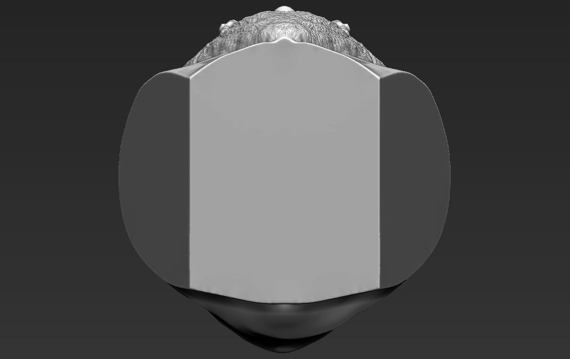 Gimli Lord of the Rings bust full color 3D printing ready 3D print model_38