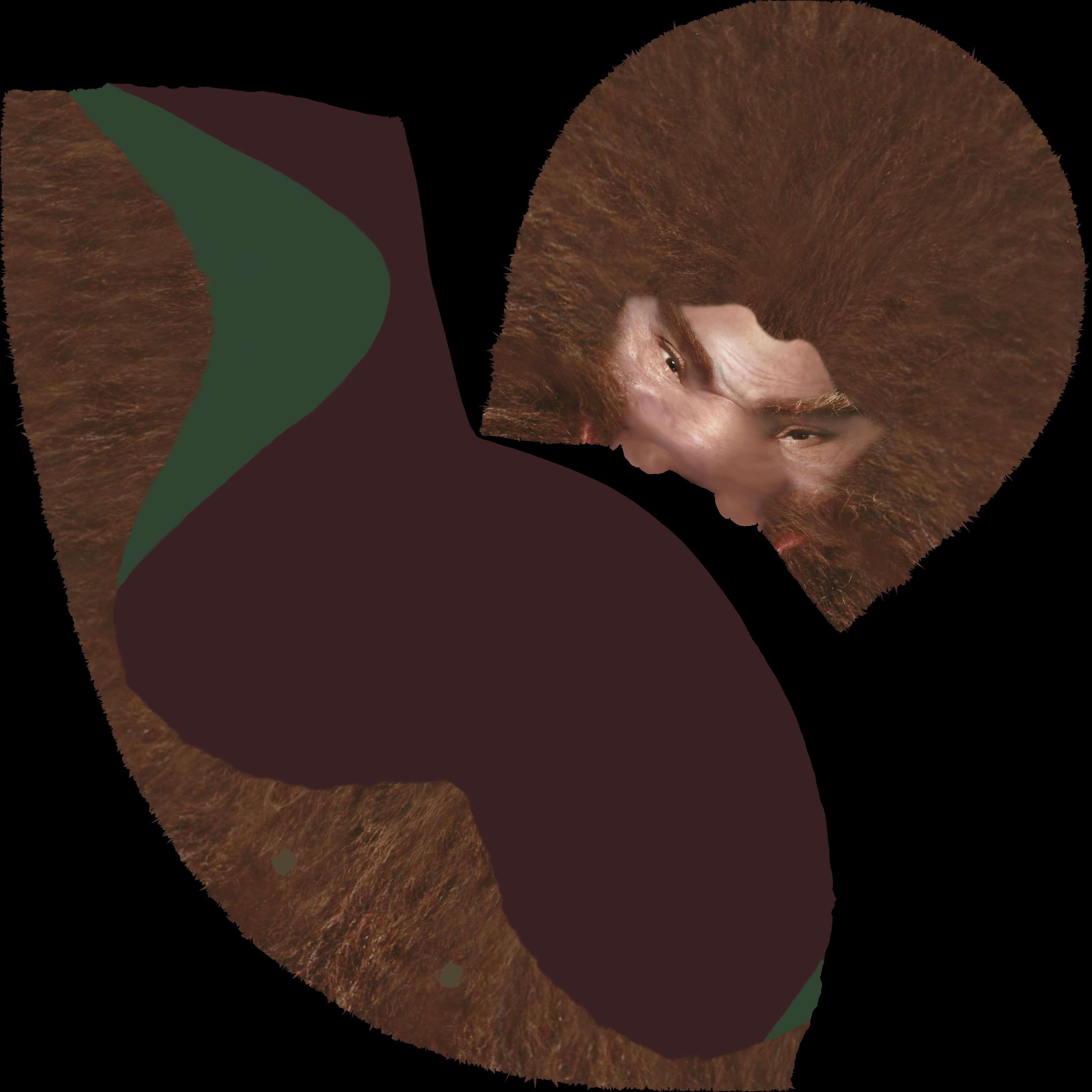 Gimli Lord of the Rings bust full color 3D printing ready 3D print model_50