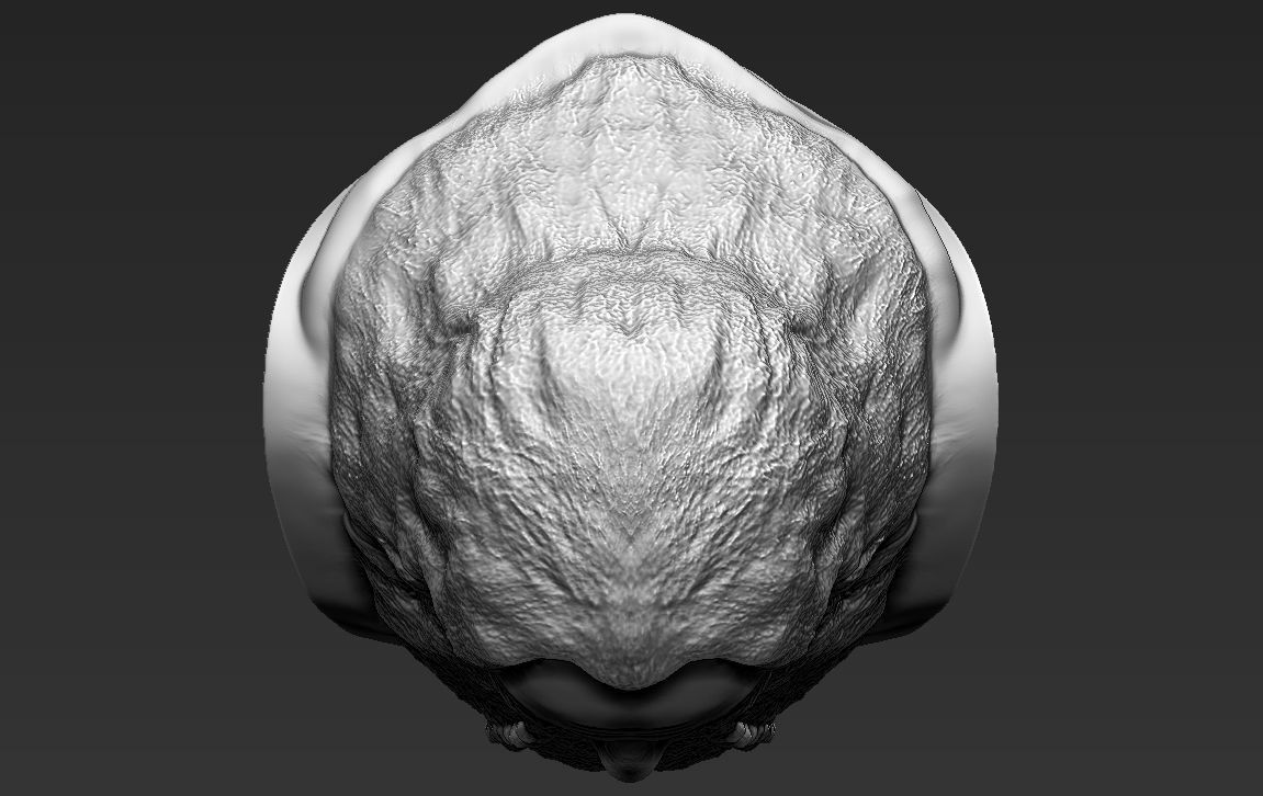 Gimli Lord of the Rings bust full color 3D printing ready 3D print model_39