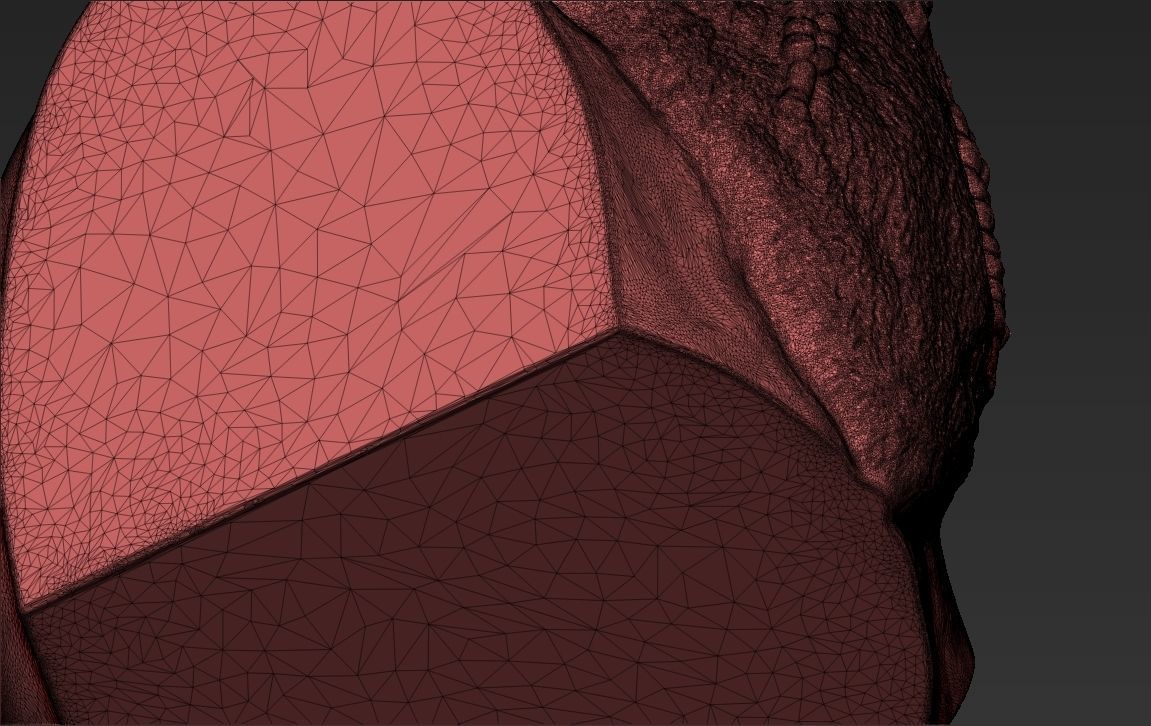 Gimli Lord of the Rings bust full color 3D printing ready 3D print model_46