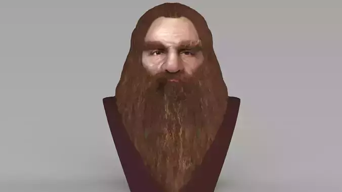 Gimli Lord of the Rings bust full color 3D printing ready 3D print model