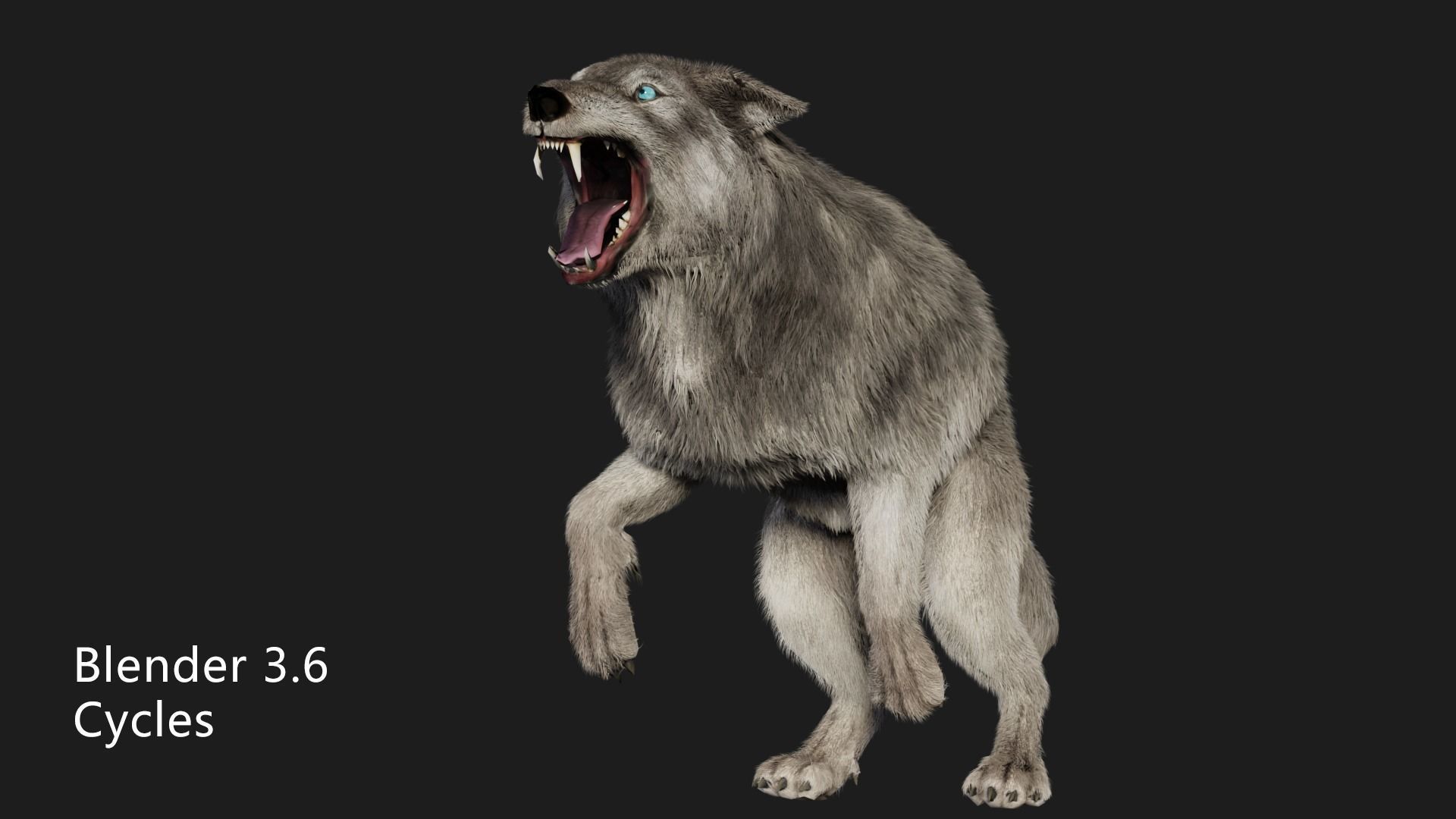 wolf wild dog husky beast howl hair Low-poly 3D model_6