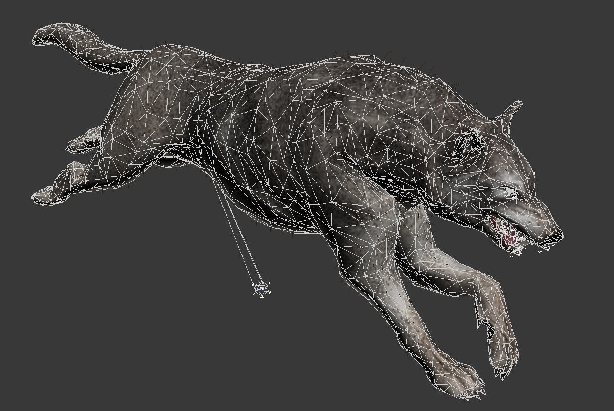 wolf wild dog husky beast howl hair Low-poly 3D model_9