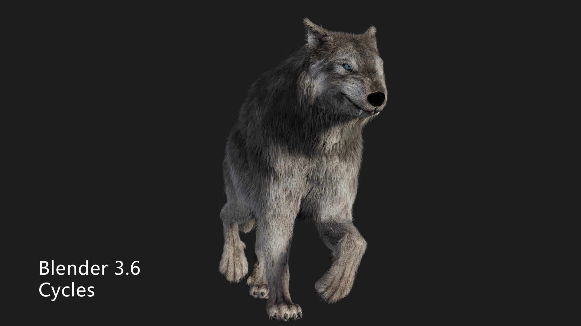 wolf wild dog husky beast howl hair Low-poly 3D model_7