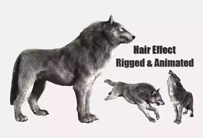 wolf wild dog husky beast howl hair Low-poly 3D model