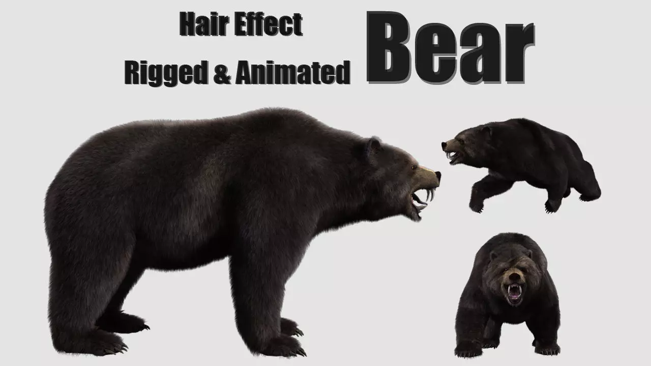 bear grizzly brown bear black bear Low-poly 3D model_0