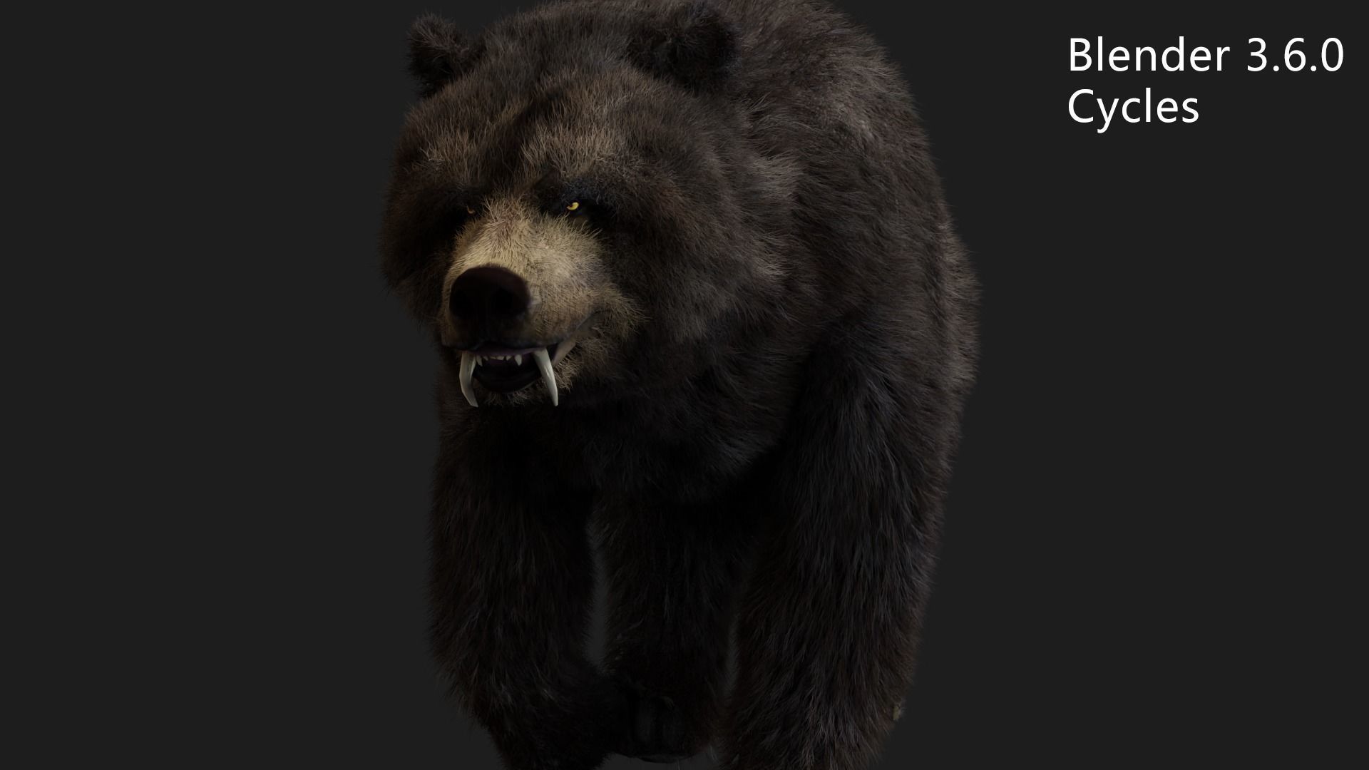 bear grizzly brown bear black bear Low-poly 3D model_10