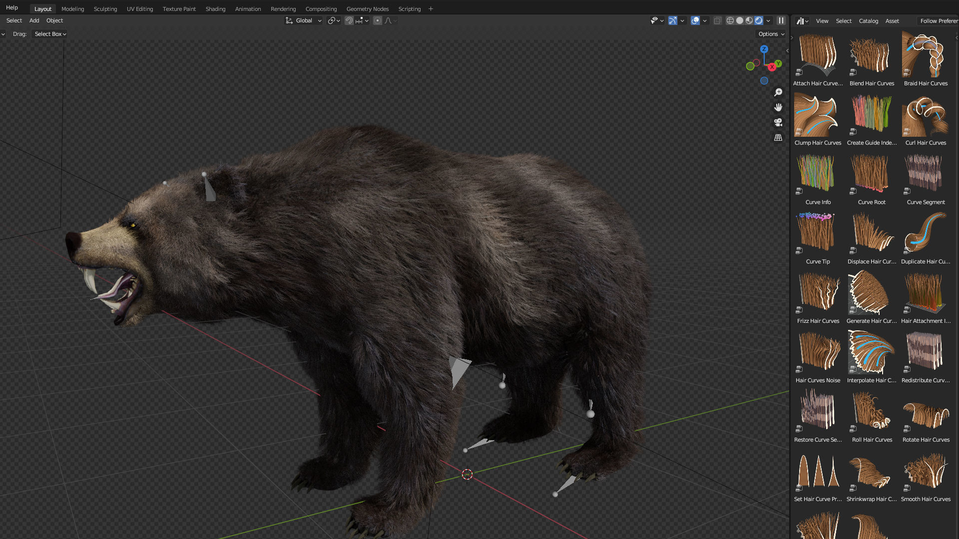 bear grizzly brown bear black bear Low-poly 3D model_8