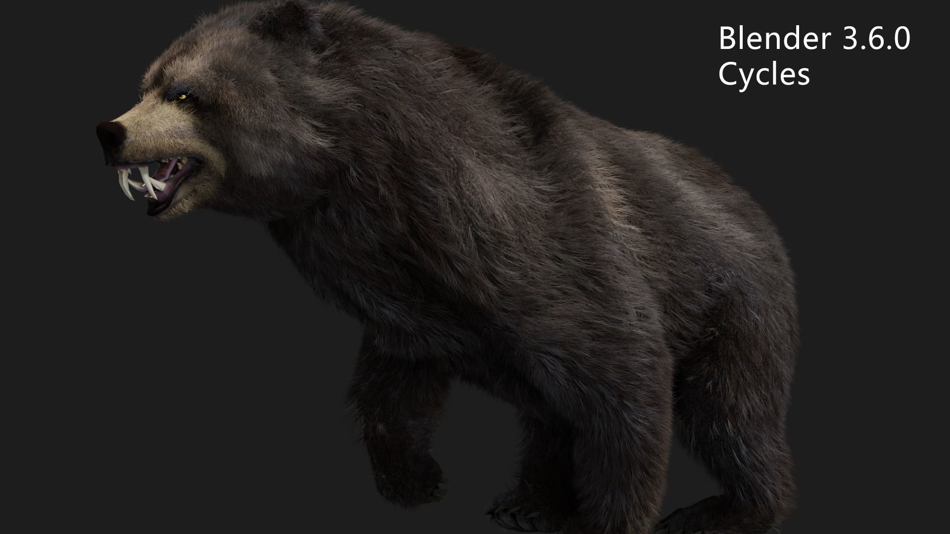 bear grizzly brown bear black bear Low-poly 3D model_7
