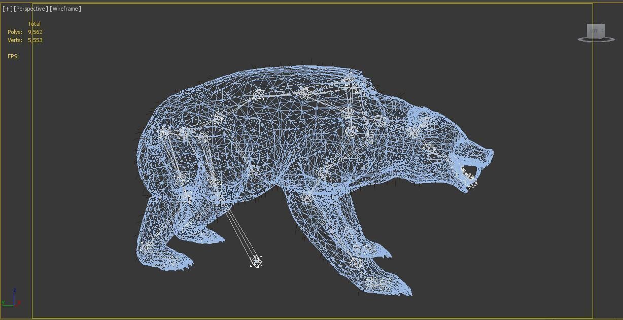bear grizzly brown bear black bear Low-poly 3D model_12
