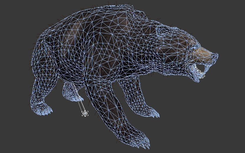 bear grizzly brown bear black bear Low-poly 3D model_13