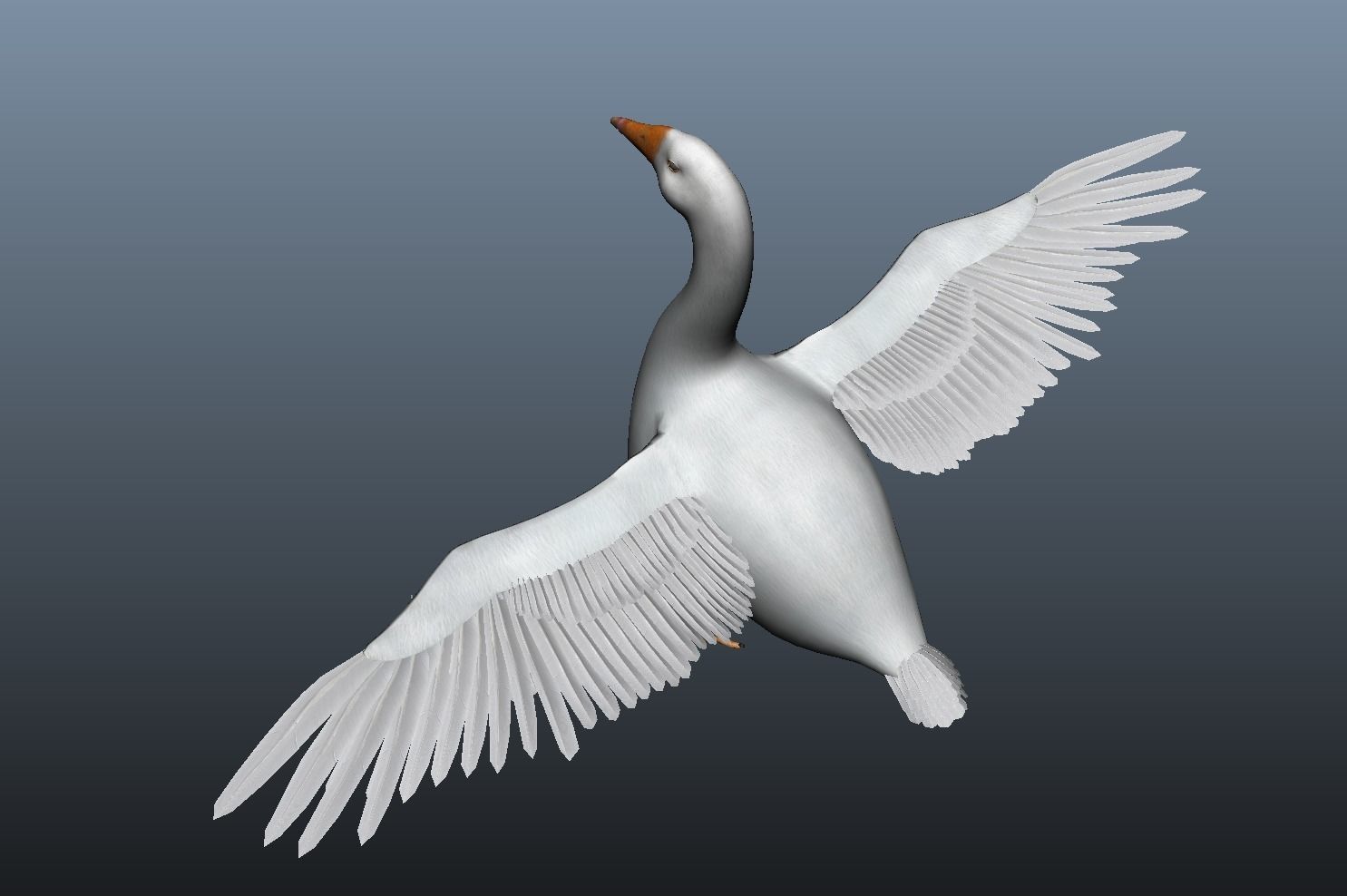 Modal Goose Low-poly 3D model_7