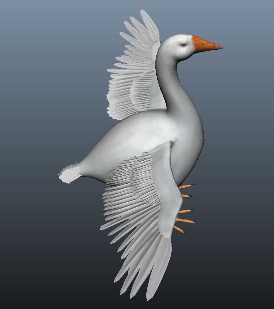 Modal Goose Low-poly 3D model_1