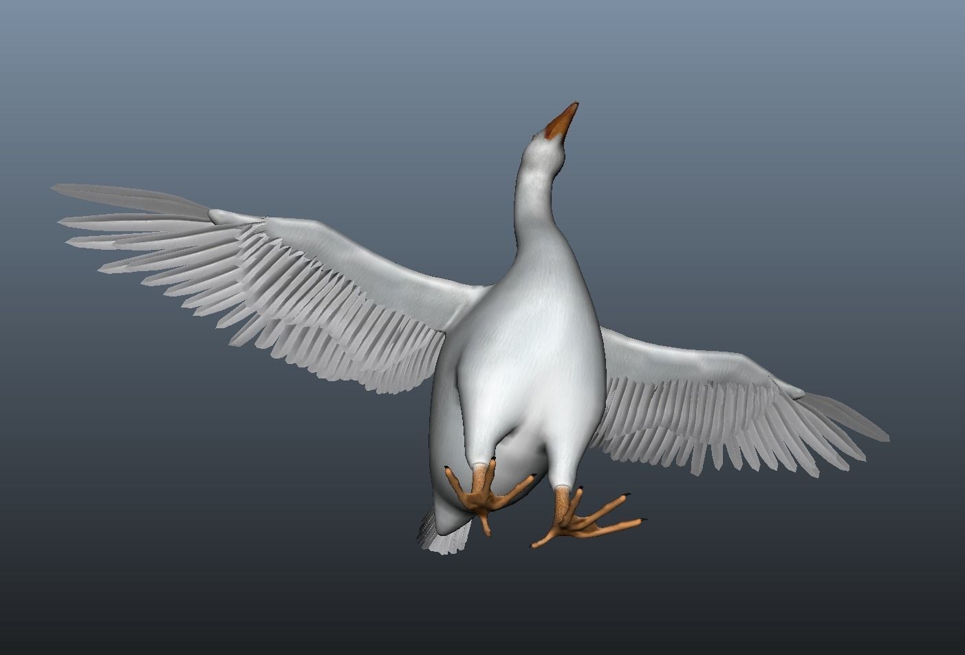 Modal Goose Low-poly 3D model_4