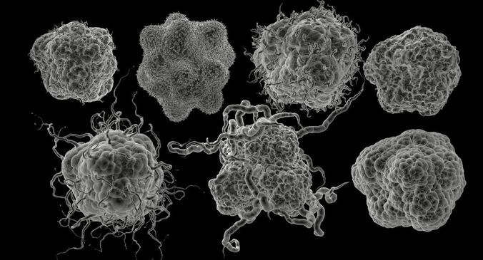 Cancer 7 cell pack 3D 3D model