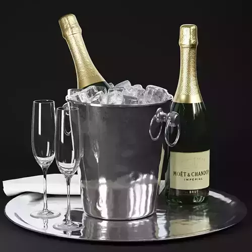 Champagne in Bucket 3D model