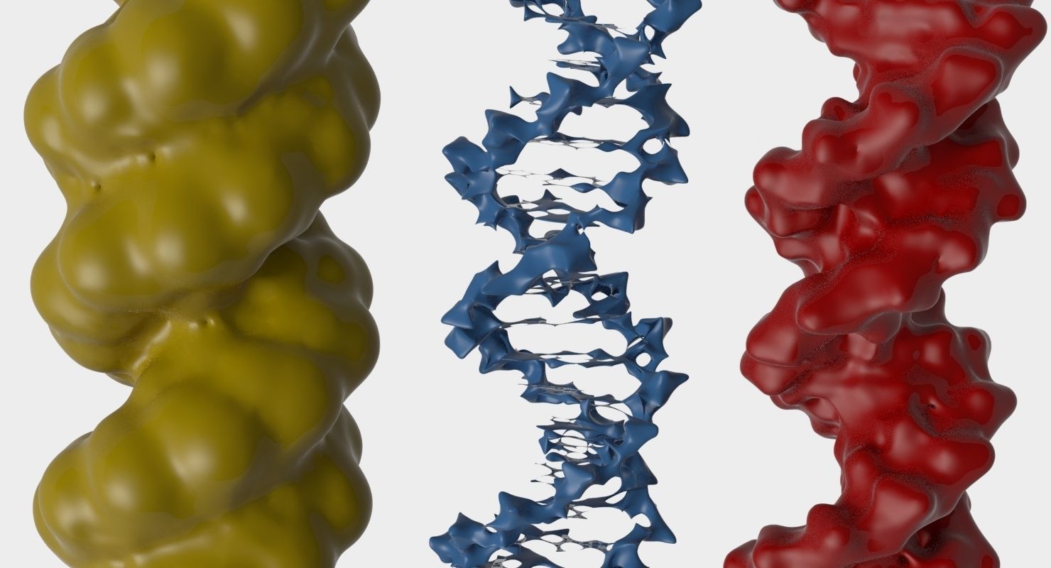 3D DNA 3 pack 3D model_0