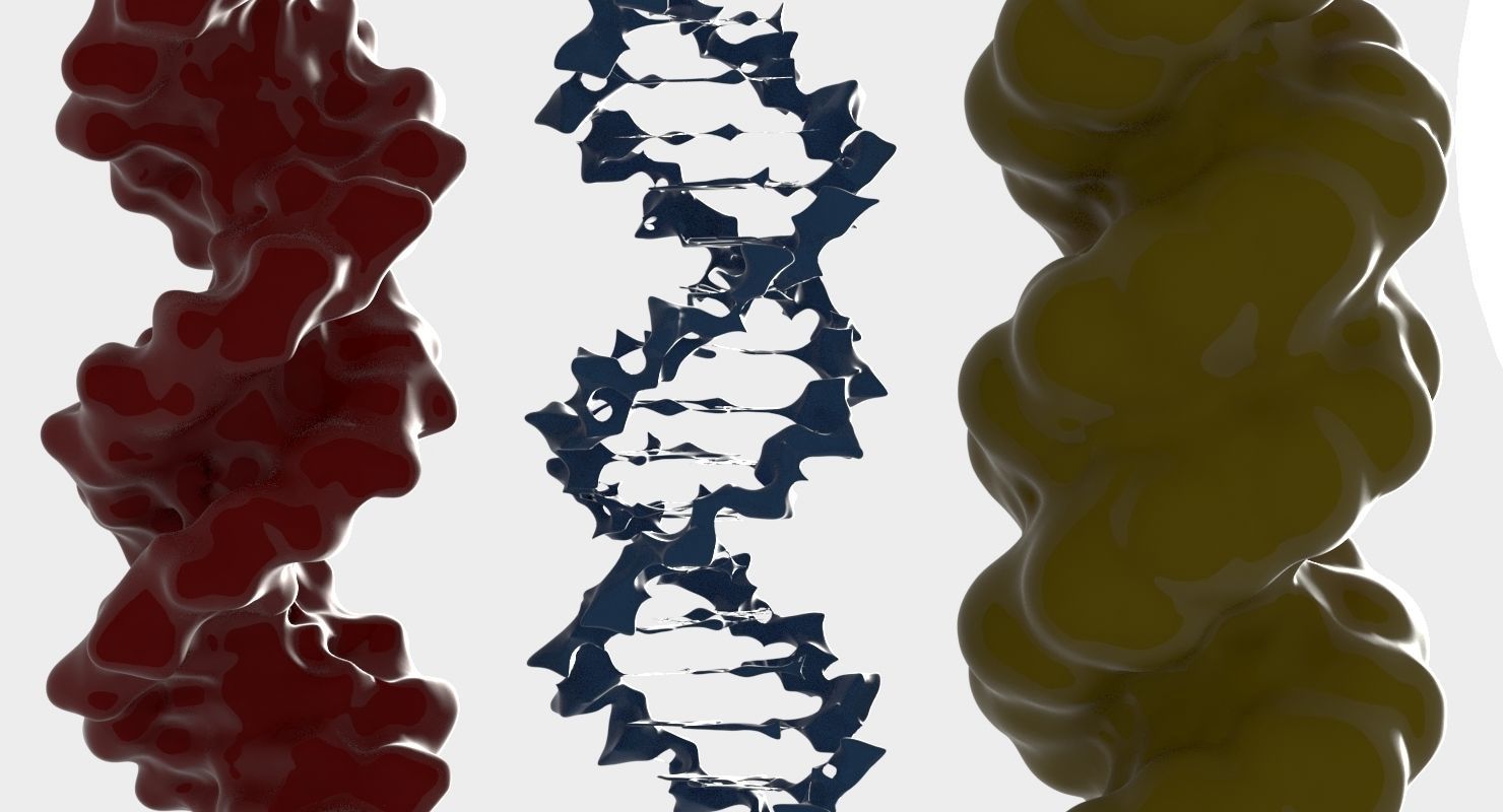3D DNA 3 pack 3D model_5