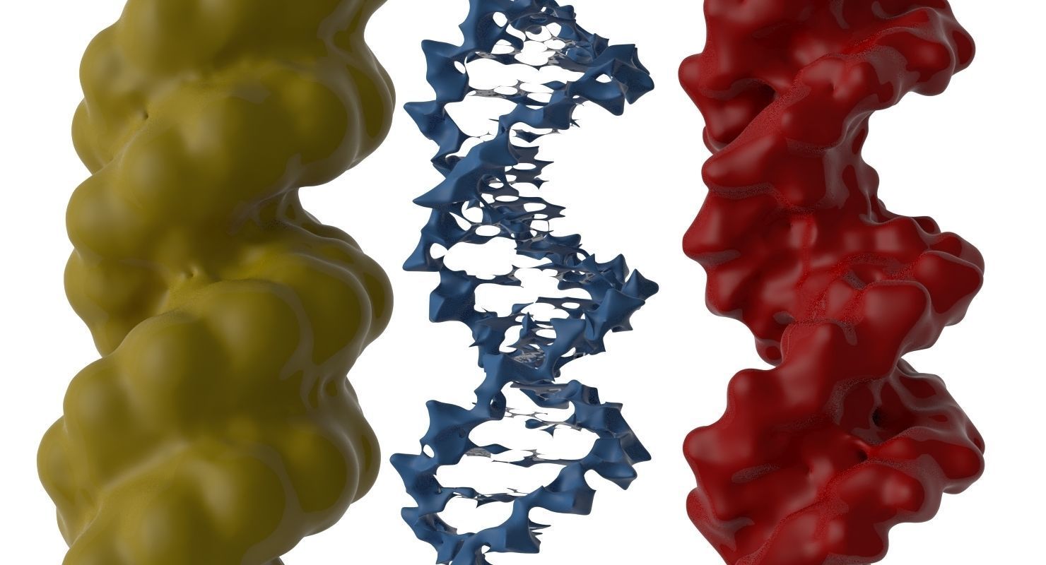 3D DNA 3 pack 3D model_1